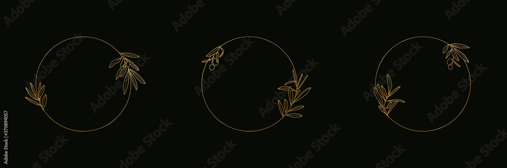 Set of Golden Olive Branch with Leaves and Fruit icon and Badge in a ...