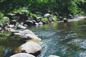 river in the forest