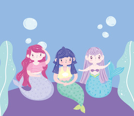 Poster - little beautiful mermaids characters bubbles underwater cartoon