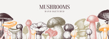 Vintage Mushrooms Banner. Edible Mushrooms Vector Background. Hand Drawn Food Drawings. Forest Plant Sketches. 