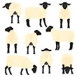 sheep various pose set