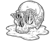 Human Skull With Growing Mushrooms. Sketch Scratch Board Imitation.