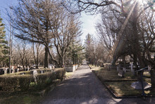 Path At Cemetary