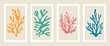 Abstract coral posters. Contemporary organic shapes and scribbles Matisse style, colorful corals. Graphic vector illustration