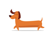 Cute Long Dachshund Puppy Dog Vector Cartoon Flat Illustration Isolated On White