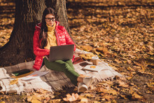 Full Length Photo Of Focused Marketer Girl Sit Lawn Grass Checkered Plaid Blanket Work Laptop Have Nature Autumn Park Partnership Communication Texting Typing Email Wear Season Red Jacket