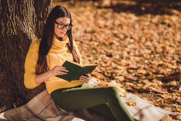 Wall Mural - Photo of focused girl high school college student in campus sit under tree checkered blanket autumn park lawn read textbook prepare exam wear yellow sweater jumper