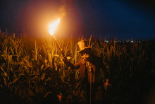 Walking Dead Zombie Stands In Cornfield With Burning Torch.