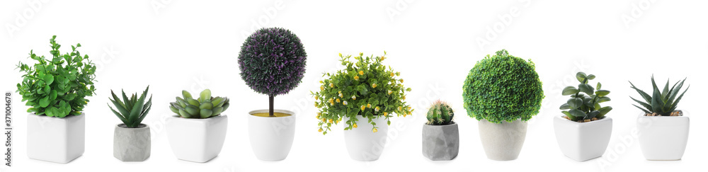 Set of artificial plants in flower pots isolated on white. Banner design - obrazy, fototapety, plakaty 
