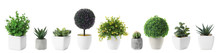 Set Of Artificial Plants In Flower Pots Isolated On White. Banner Design