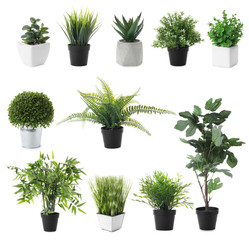 Wall Mural - Set of artificial plants in flower pots isolated on white