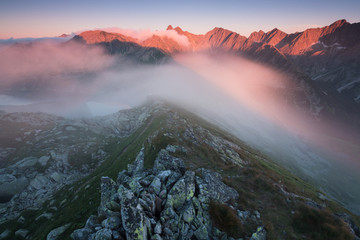 Wall Mural - Beautiful autumn scenery of foggy valley in mountains at early morning before sunrise. Hill with trees on foreground. Fabulous sunrise on Germany, Europe. Beauty of nature concept background. 