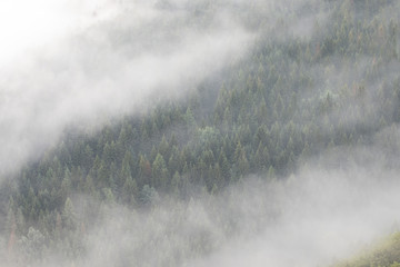 Wall Mural - Panorama with fog and mountains in Banff, Alberta. Morning landscape with misty atmosphere.Beautiful nature background. First autumn day