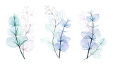 Fototapeta Boho - watercolor drawing, set of transparent bouquets of leaves and branches of eucalyptus isolated on white background. gentle drawing in pastel colors, design for a wedding, decoration of a greeting card