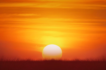Wall Mural - silhouette meadows at sunset background