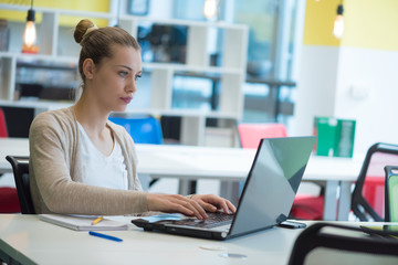 Attractive young woman using laptop while sitting at her desk. Young american businesswoman sitting in the office and working on laptop.