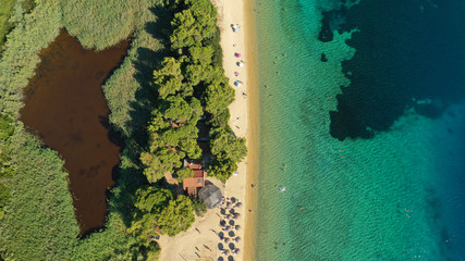  Aerial drone photo of popular paradise turquoise beach of Vromolimnos with small swamp next to it, Skiathos island, Sporades, Greece