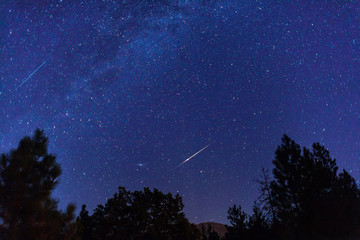 Wall Mural - Perseid Meteors with the Milky Way Galaxy during the Perseids Meteor Shower.