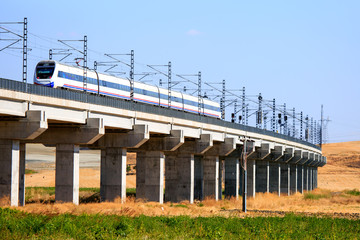 Wall Mural - View of a high-speed train crossing a viaduct 