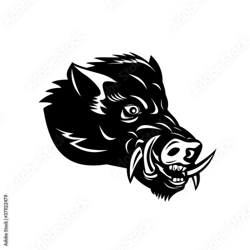 Cuadros en Lienzo Angry Wild Boar or Common Wild Pig Head Side Mascot Woodcut Black and White