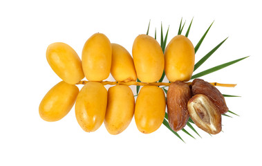 Wall Mural - Fresh date fruits and dried date fruits with date palm leaf  isolated on white background, top view.
