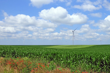 wind turbine on a green field