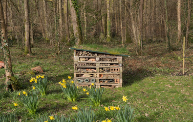 Bug House, Insect Hotel or Invertebrate Nesting Box in a Woodland Garden in Rural Devon, England, UK