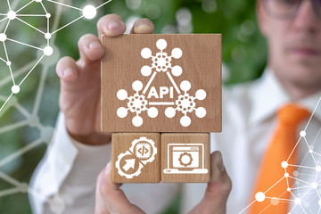 Wall Mural - concept of api application programming interface, software integration, web development. technology 