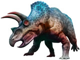 Fototapeta  - Triceratops dinosaur charging 3D illustration