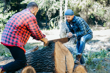 Wall Mural - Two brutal bearded foresters