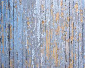 Wall Mural - old blue cracked paint on vertical wooden planks