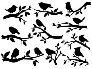 Wall Mural - Bird and twig silhouettes. Cute birds and on branch, romantic spring image, black sparrows on tree, garden decor retro art, vector set. Illustration silhouette twig tree and bird on branch