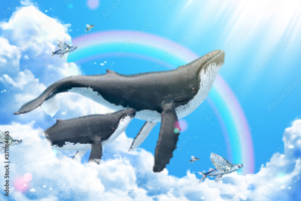Whales swimming in blue sky Stock Vector | Adobe Stock