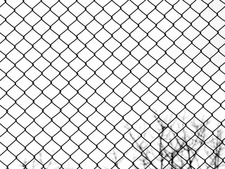 Wall Mural - Decorative wire mesh of fence isolated on white background