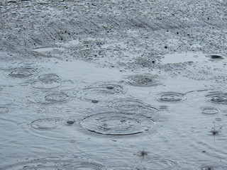 Poster - rain drop on wet asphalt road