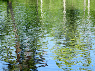 Sticker - abstract water reflection texture, natural background