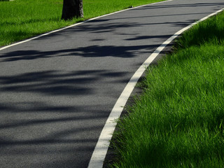 asphalt road with green grass of field