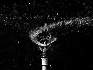 Canvas Print - water splash of sprinkler black and white style