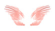 Abstract pink watercolor wings in vintage nostalgic colors