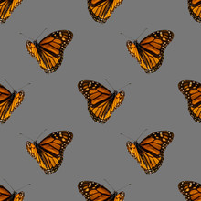 Colorful Floral Seamless Pattern With Orange Mmonarch Butterflies Collage On Gray Background. Stock Illustration.