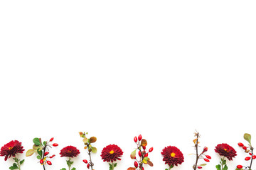 Wall Mural - Autumn Background With Flowers