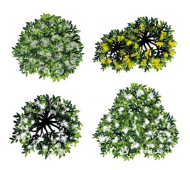 Wall Mural - set of watercolor tree top view for landscape plan and architecture layout