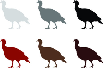 set of turkey animals