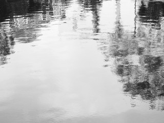 black and white water wave with reflection of tree