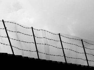 Wall Mural - silhouette barbed wire enclose the prison