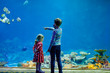 © Irina Schmidt - Kid boy and toddler girl visiting together zoo aquarium. Two children watching fishes, corals and jellyfishes. School child wearing medicals masks due pandemic corona virus time. Family on staycation