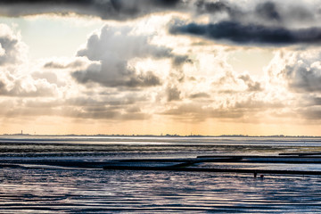 Poster - Wattenmeer