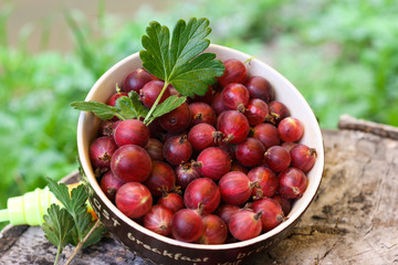 Close up of a bowl with ripe red gooseberries with green leaf on wooden surface