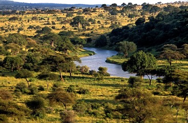 savannah landscape at tarangire park in tanzania