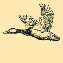 Duck, Flying Illustration, Retro, Vintage, Linocut Design For Restaurants, Bbq